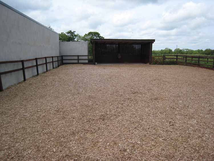 Facilities for treating your horse
